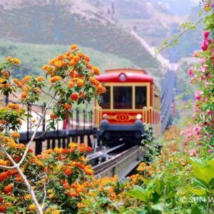 Ảnh tàu hỏa Mường Hoa