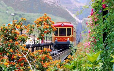 Ảnh tàu hỏa Mường Hoa