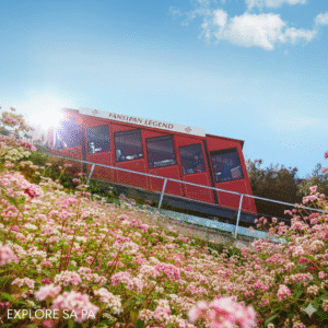 Tàu hoả leo núi Đỗ Quyên