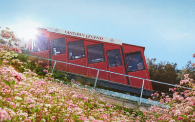 Tàu hoả leo núi Đỗ Quyên