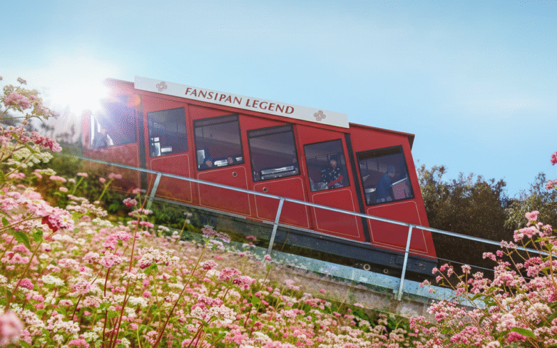 Tàu hoả leo núi Đỗ Quyên